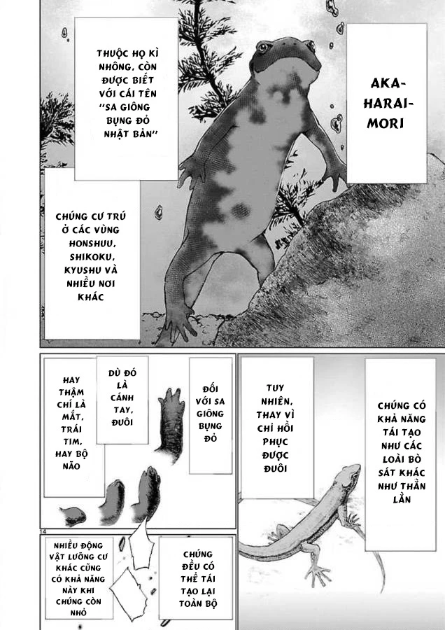 Killing Bites Chapter 46 - 20