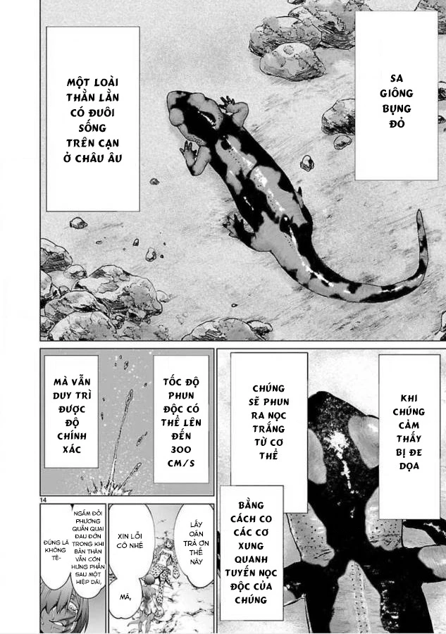 Killing Bites Chapter 48 - 14