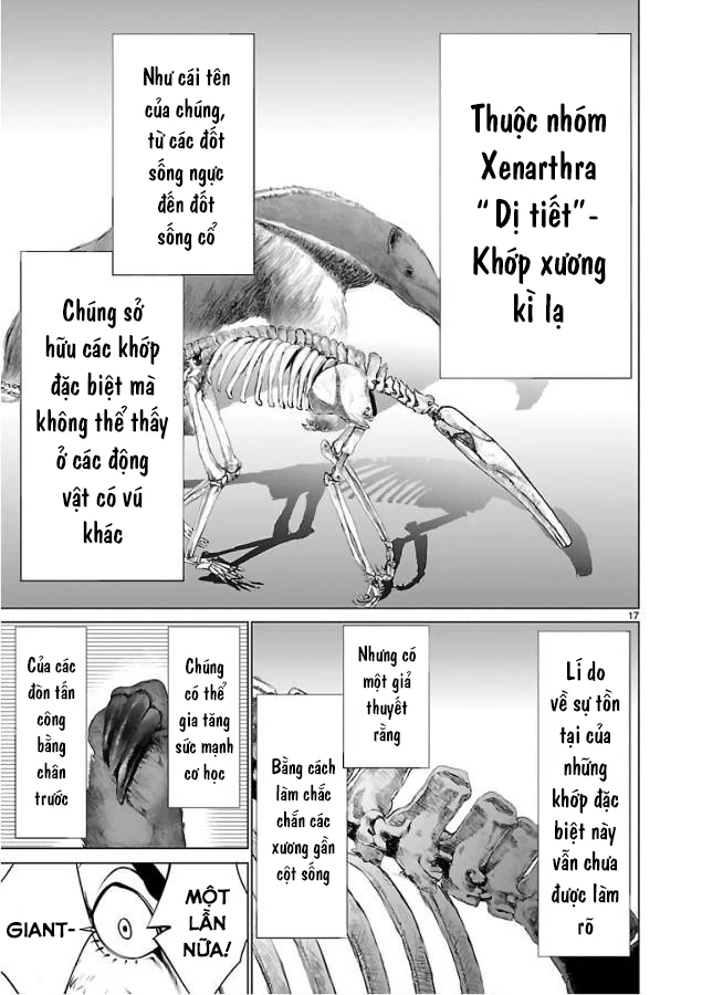 Killing Bites Chapter 50 - 15