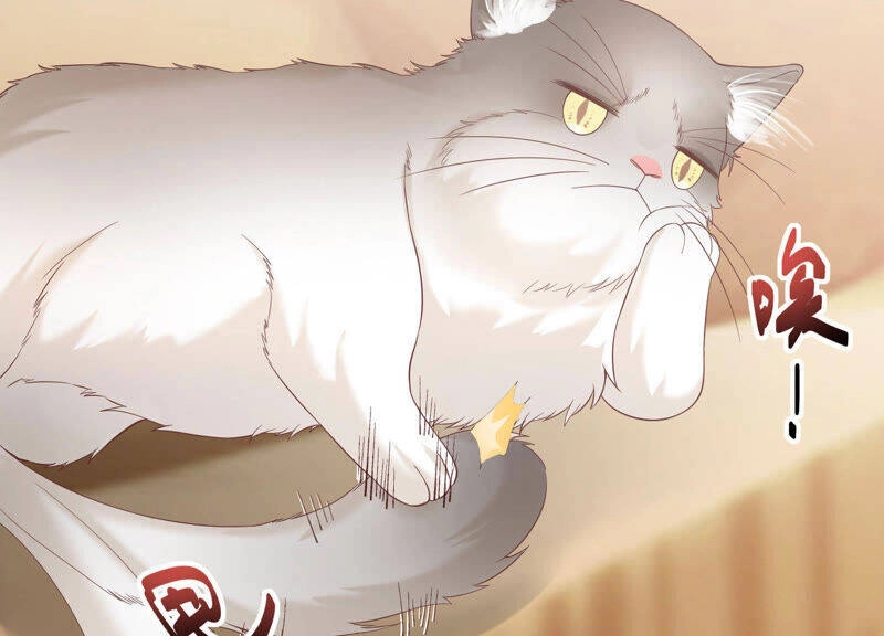 Siêu Năng Bất Lương Học Bá Chapter 7 - 72