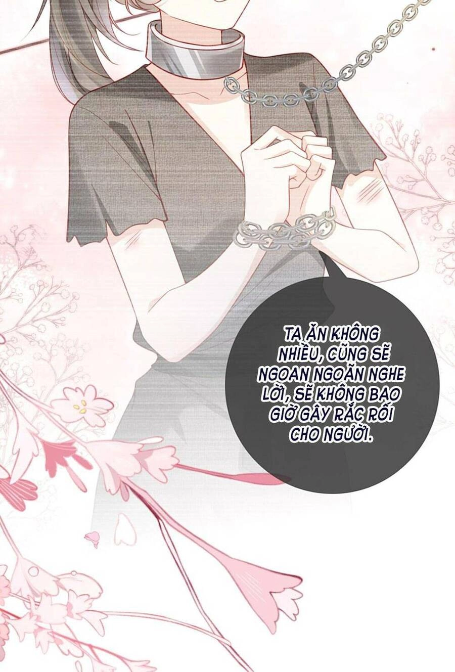 Trưởng Công Chúa Ác Độc Bỗng Dưng Được Chiều Chuộng Chapter 1 - 50