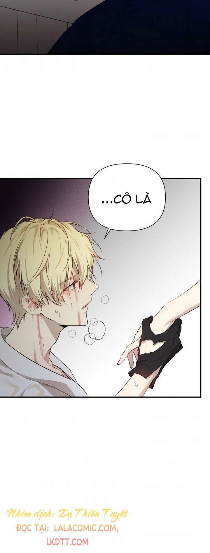 Lilien Của Turin Chapter 14 - 21