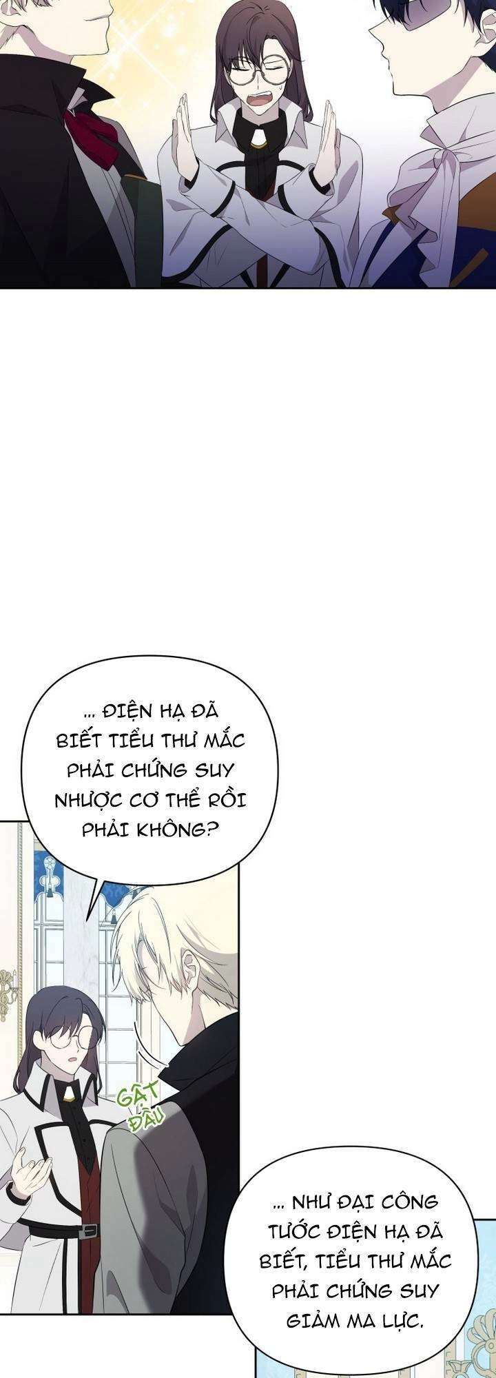 Lilien Của Turin Chapter 20 - 4