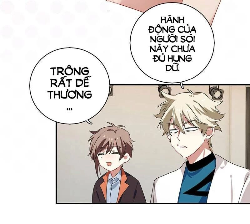 Tinh Mộng Thần Tượng Chapter 255 - 19