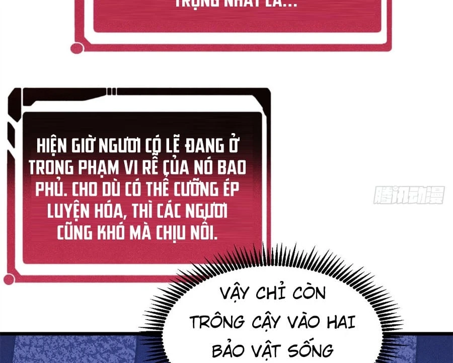 Vạn Cổ Tối Cường Tông Chapter 496 - 105