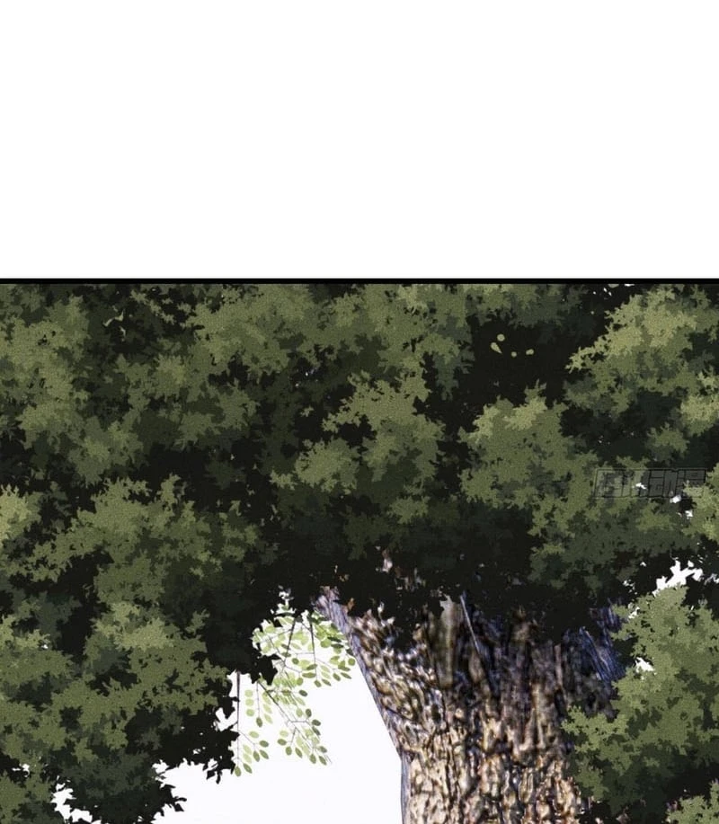 Vạn Cổ Tối Cường Tông Chapter 501 - 12