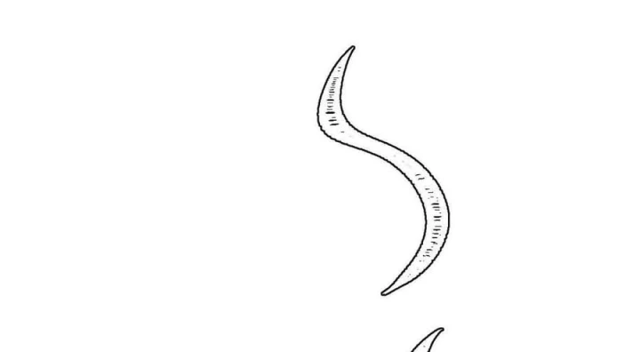 Vạn Cổ Tối Cường Tông Chapter 529 - 116