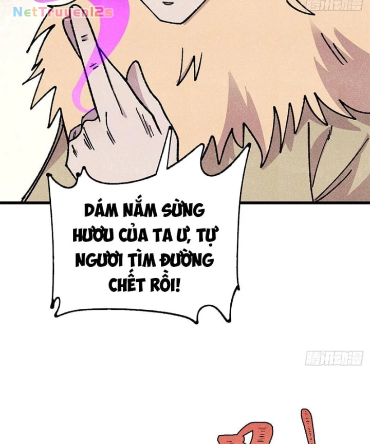 Vạn Cổ Tối Cường Tông Chapter 531 - 62