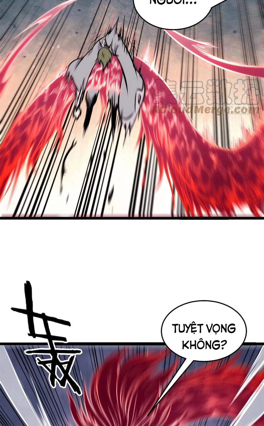 Vạn Cổ Tối Cường Tông Chapter 91 - 39