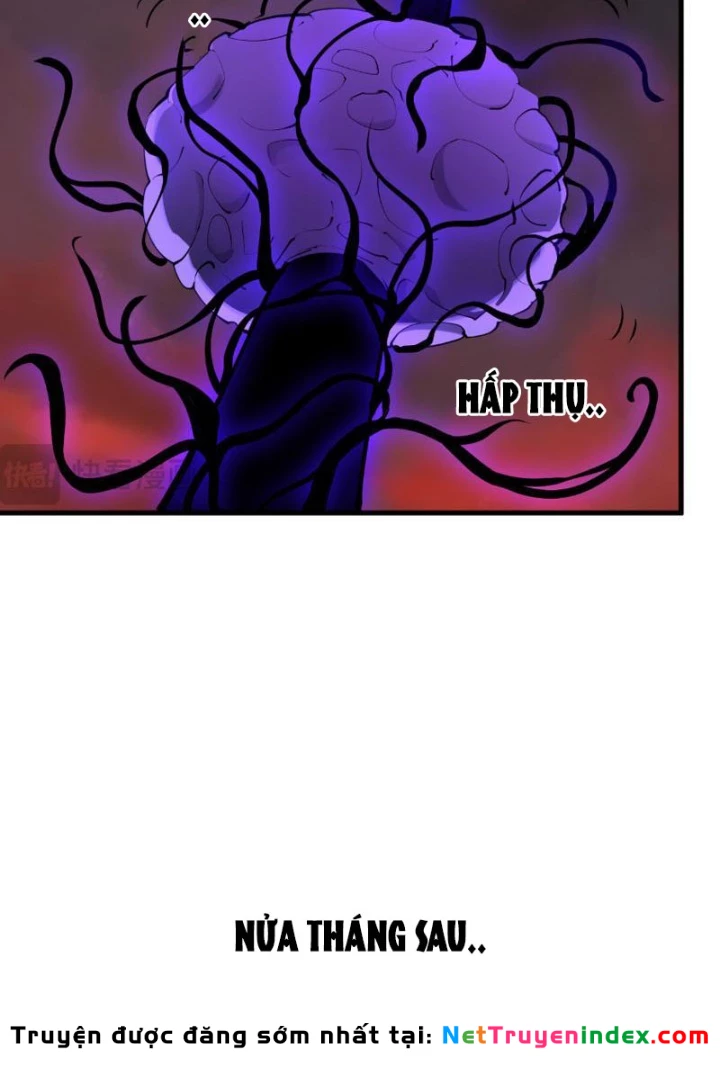 Mạt Nhật Thiên Hạ: Ta, Virus Quân Vương Chapter 85 - 55