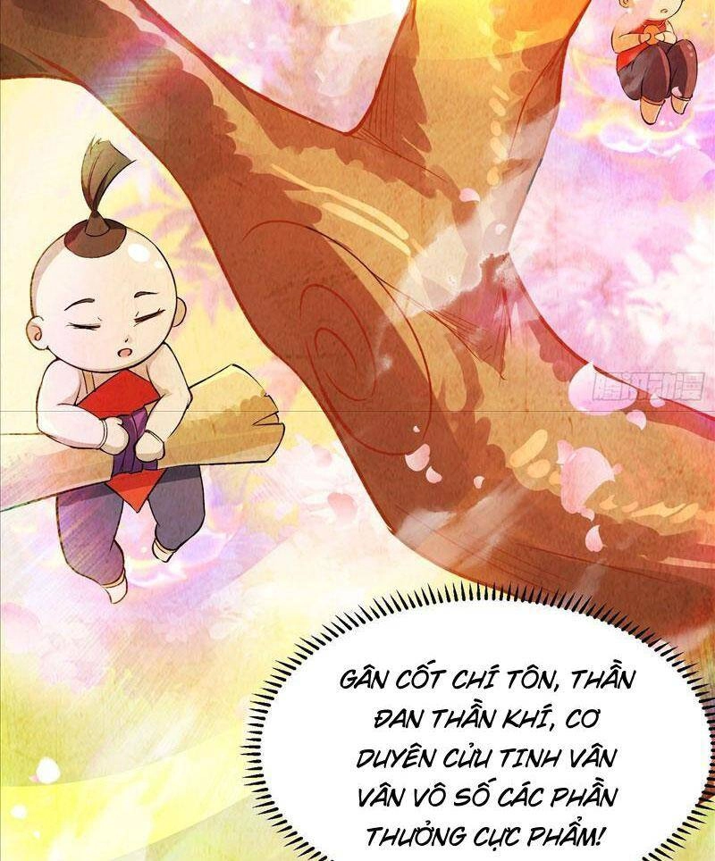 Trăm Tuổi Mở Hệ Thống, Hiếu Tử Hiền Tôn Quỳ Khắp Núi! Chapter 1 - 30