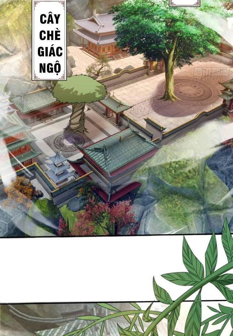 Trăm Tuổi Mở Hệ Thống, Hiếu Tử Hiền Tôn Quỳ Khắp Núi! Chapter 18 - 50