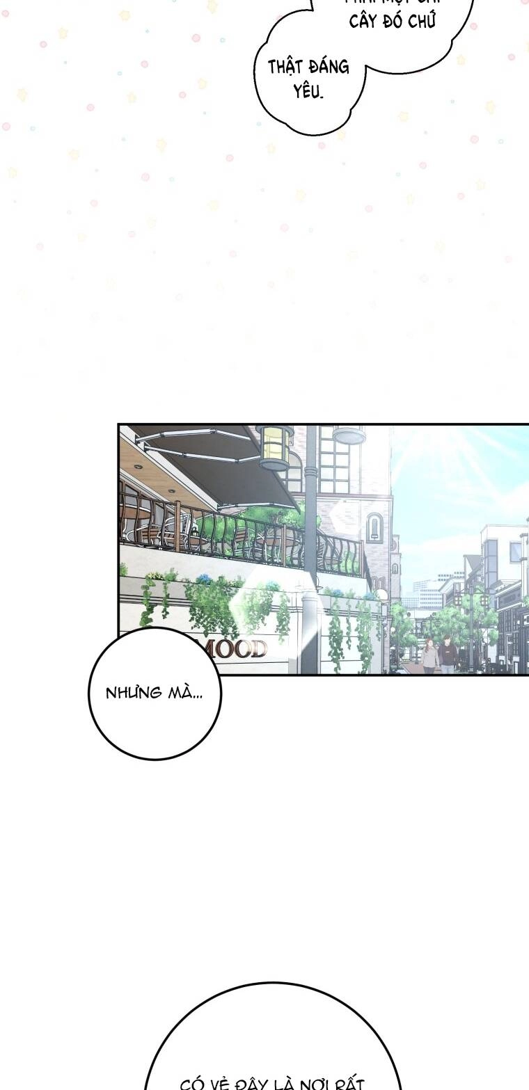 Lý Do Kết Hôn Chapter 21.2 - 19