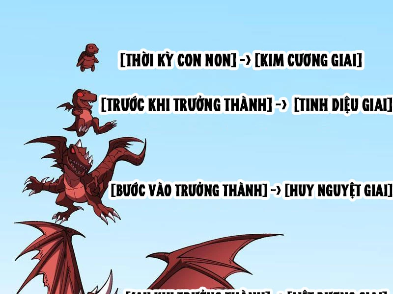 Bắt Đầu Kế Nhiệm Boss Hắc Long, Ta Vô Địch Chapter 81 - 5