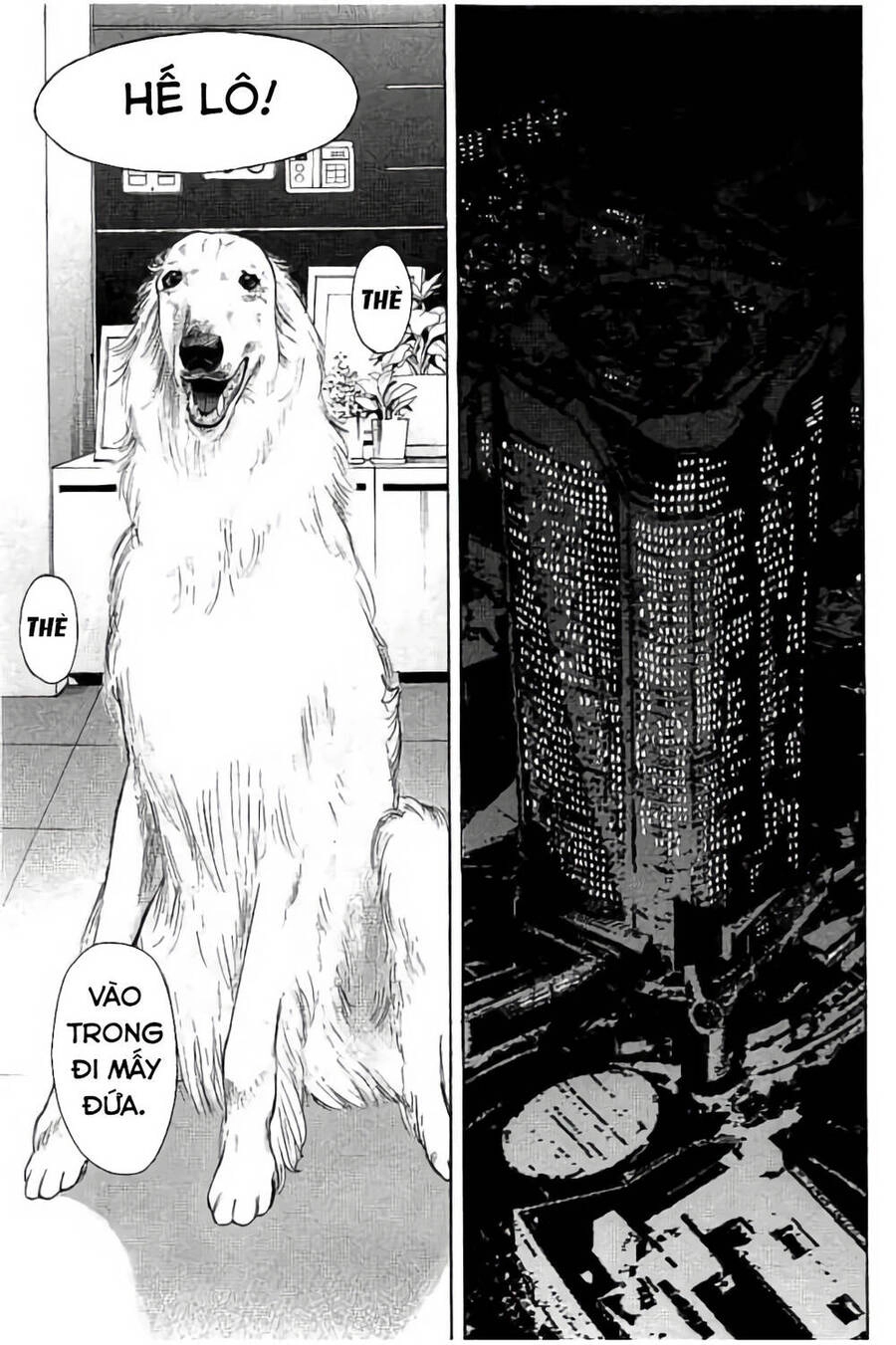 Chúng Tôi Đã Làm Được Rồi! Chapter 11 - 12