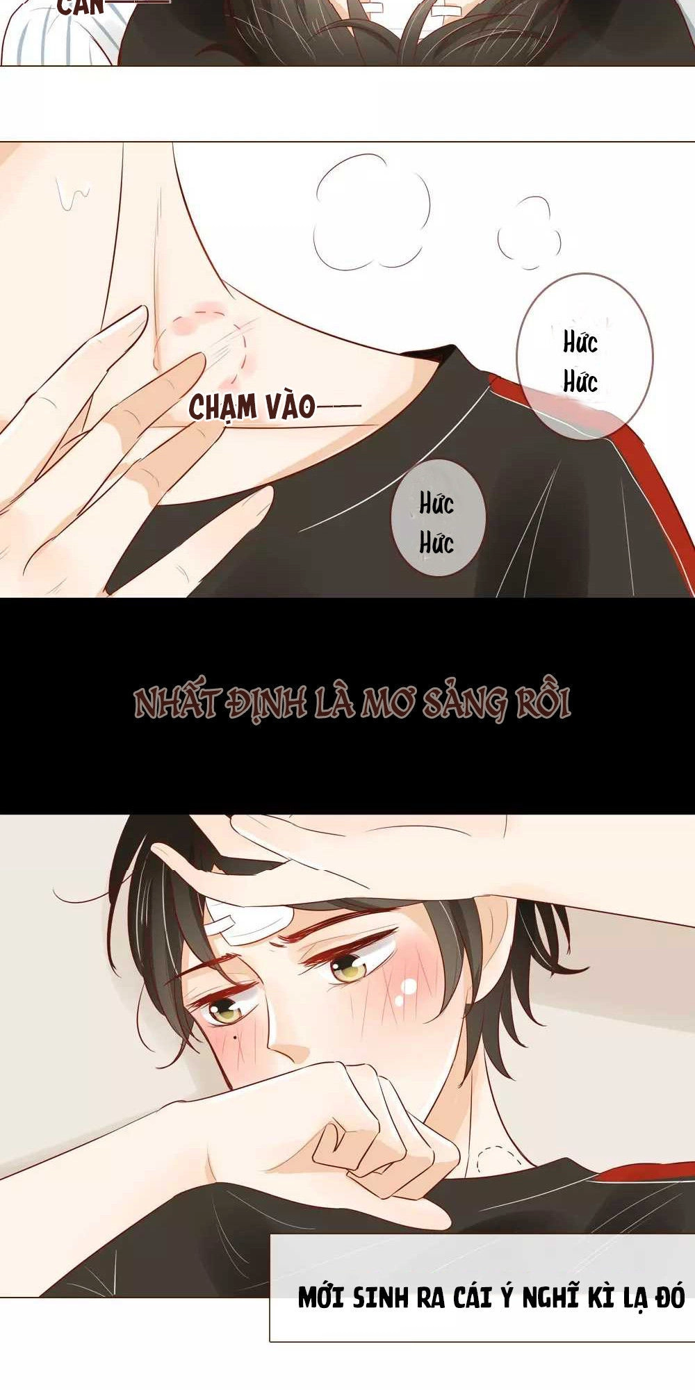 Trái Tim Bí Ẩn Chapter 28 - 3