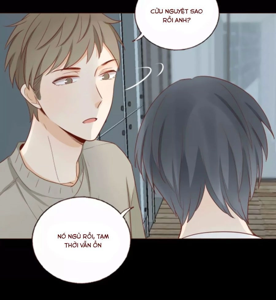 Trái Tim Bí Ẩn Chapter 57 - 11