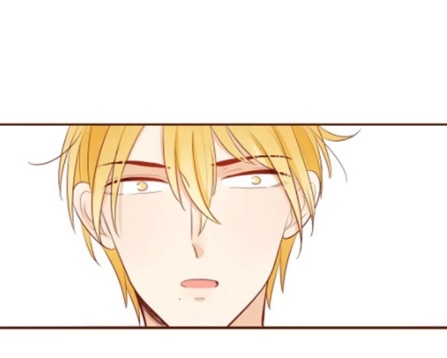 Trái Tim Bí Ẩn Chapter 60 - 17