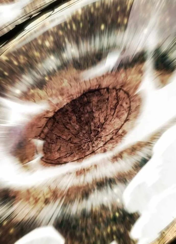 Tiểu Gia Chủ Của Tứ Xuyên Đường Gia Trở Thành Kiếm Thần Chapter 102 - 133