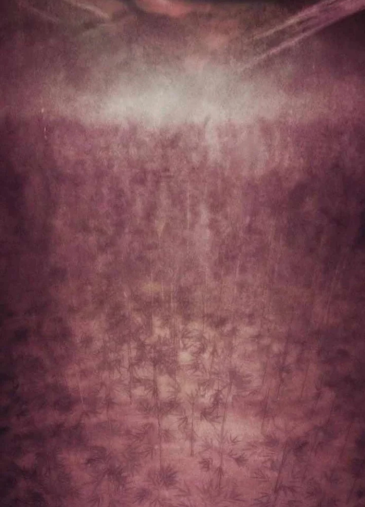 Tiểu Gia Chủ Của Tứ Xuyên Đường Gia Trở Thành Kiếm Thần Chapter 102 - 221