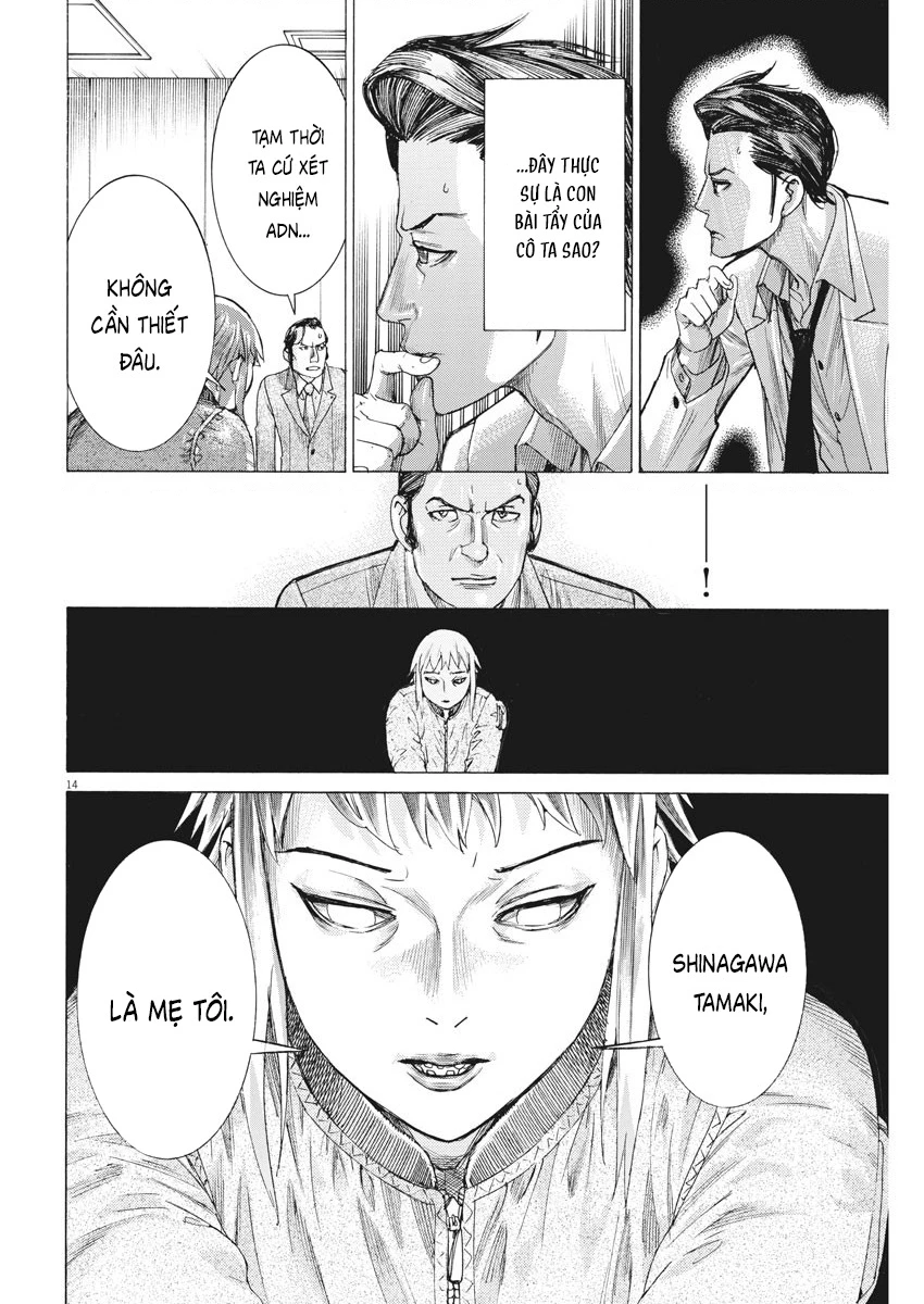 Đám Cưới Của Natsume Arata Chapter 45 - 14