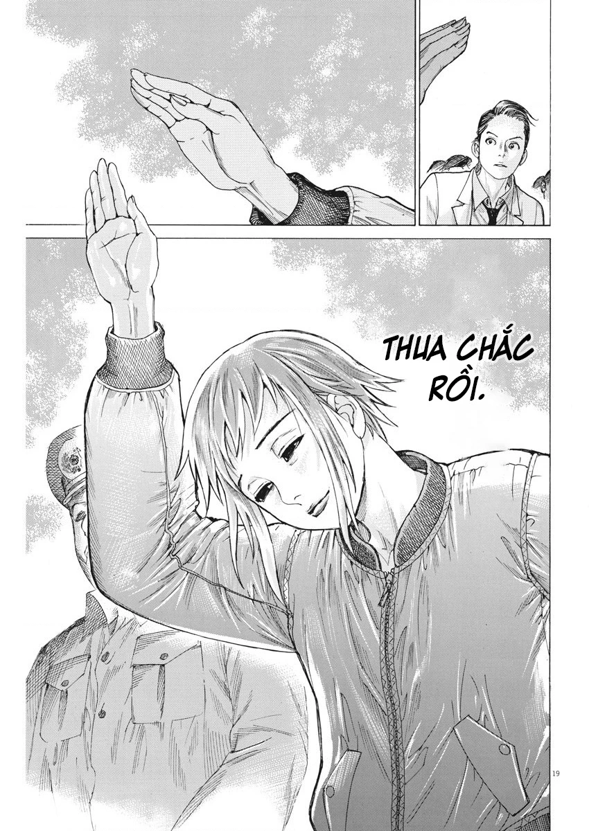 Đám Cưới Của Natsume Arata Chapter 45 - 19