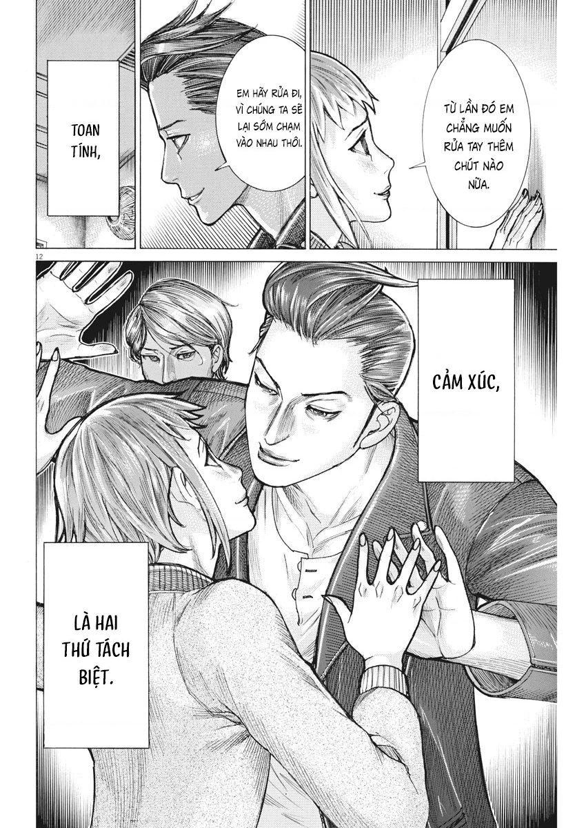 Đám Cưới Của Natsume Arata Chapter 49 - 12