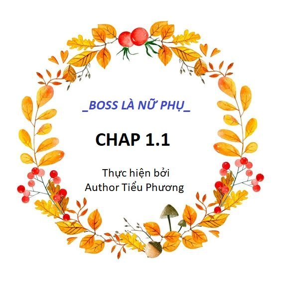 Boss Là Nữ Phụ Chapter 1.1 - 1