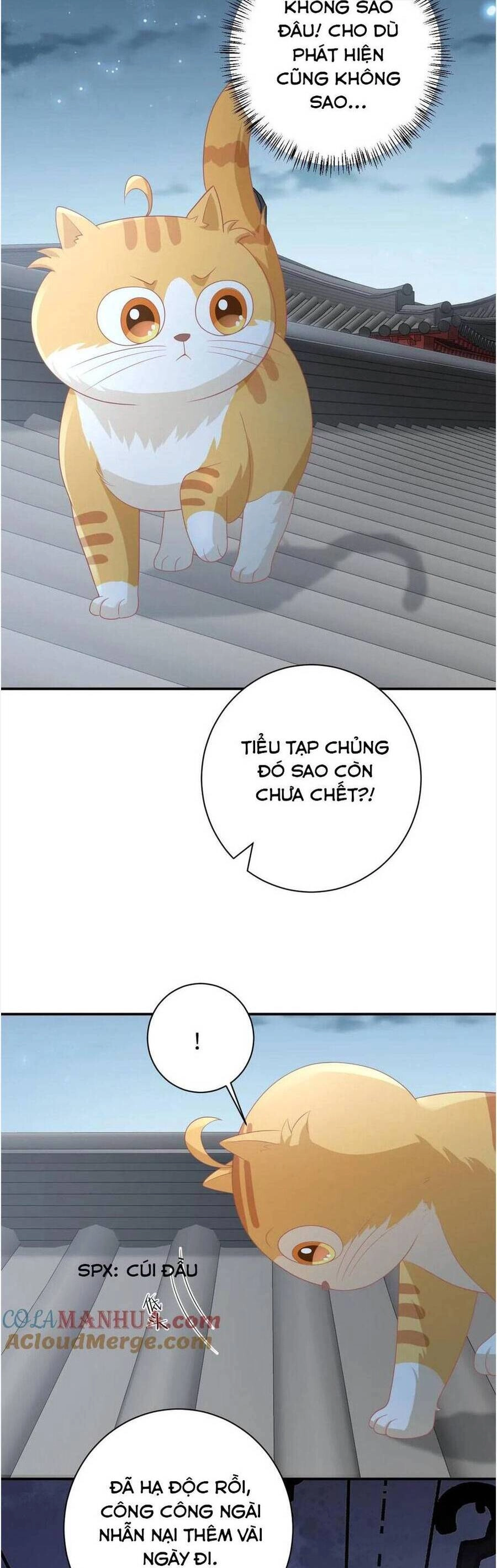 3 Kiếp Xui Xẻo, Kiếp Này Cùng Ta Thần Kinh Chapter 112 - 5