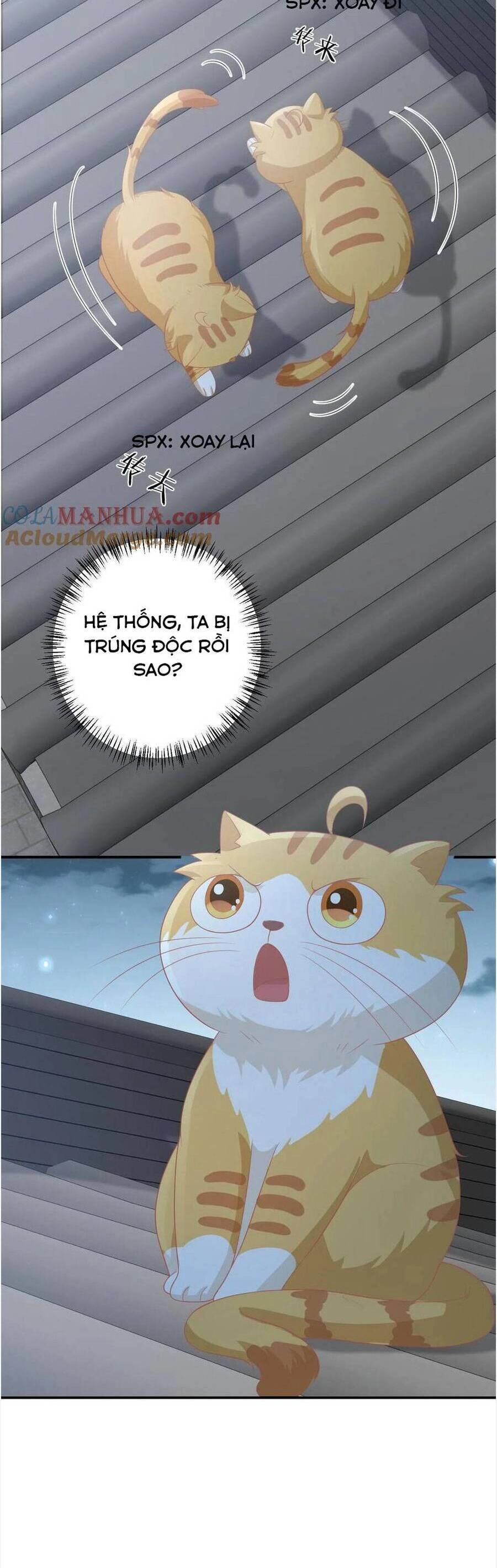 3 Kiếp Xui Xẻo, Kiếp Này Cùng Ta Thần Kinh Chapter 112 - 10