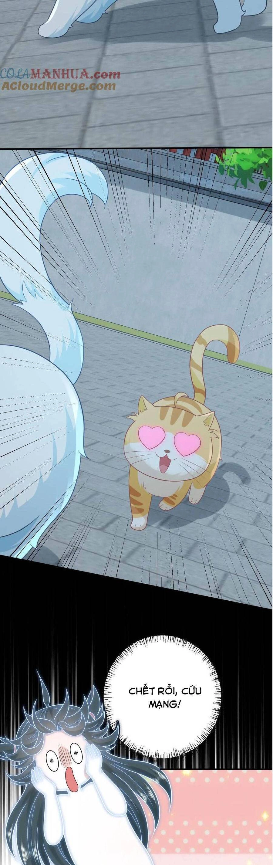 3 Kiếp Xui Xẻo, Kiếp Này Cùng Ta Thần Kinh Chapter 113 - 8