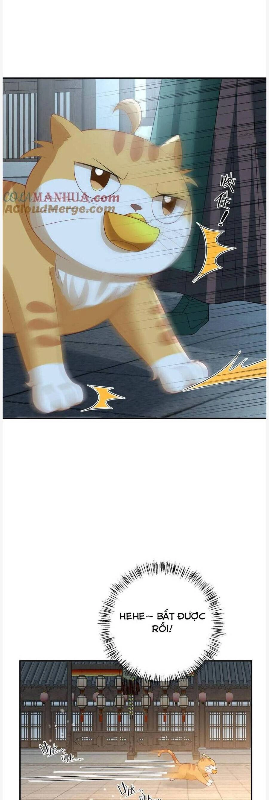 3 Kiếp Xui Xẻo, Kiếp Này Cùng Ta Thần Kinh Chapter 117 - 17