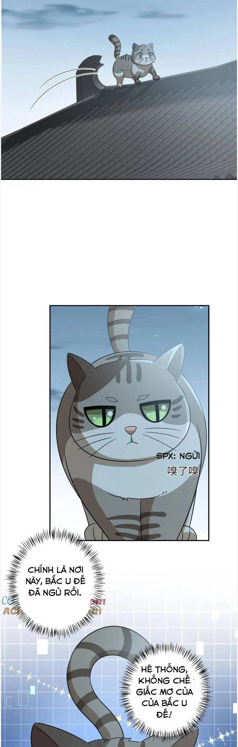 3 Kiếp Xui Xẻo, Kiếp Này Cùng Ta Thần Kinh Chapter 151 - 4