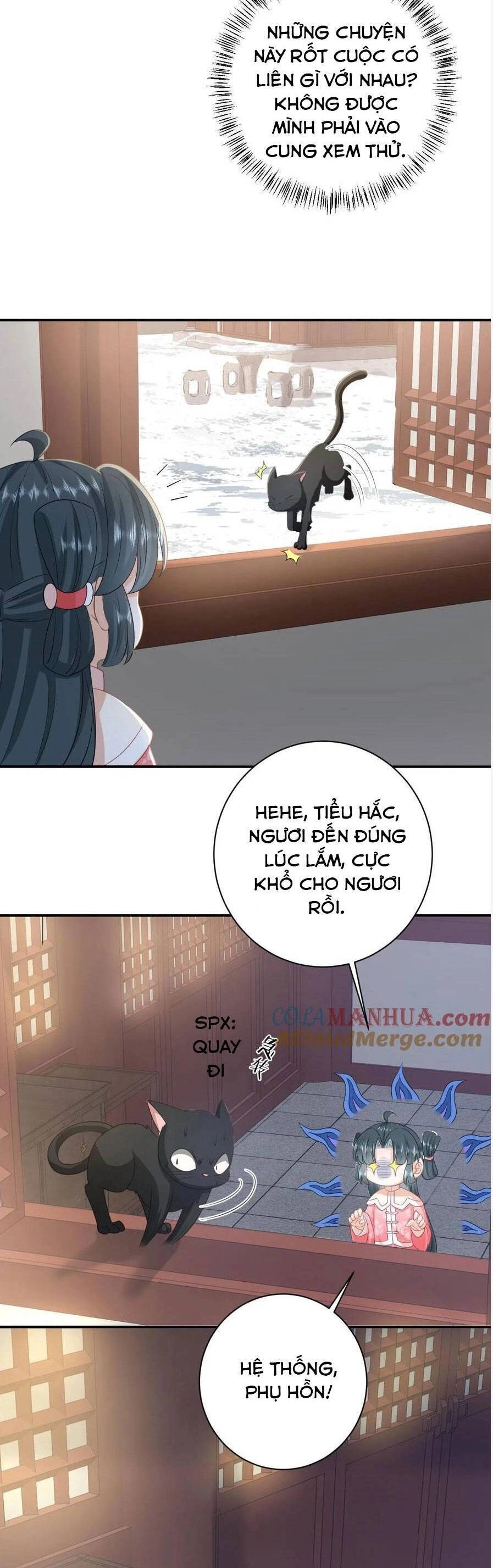 3 Kiếp Xui Xẻo, Kiếp Này Cùng Ta Thần Kinh Chapter 158 - 12