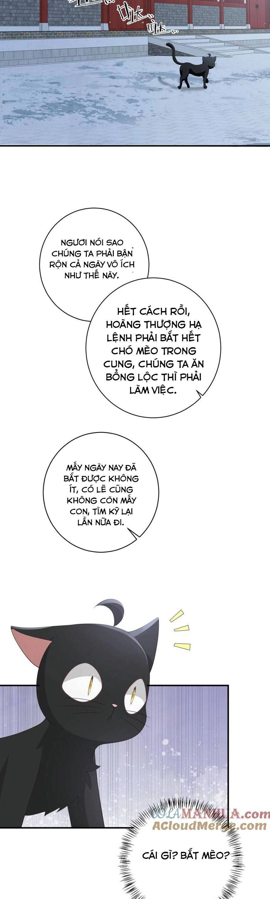 3 Kiếp Xui Xẻo, Kiếp Này Cùng Ta Thần Kinh Chapter 158 - 15