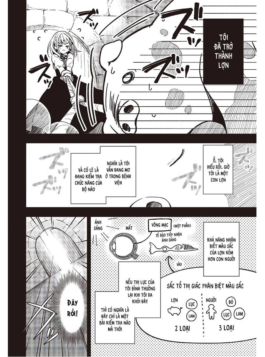 Chuyển Sinh Thành Lợn Ở Thế Giới Khác Chapter 2 - 8