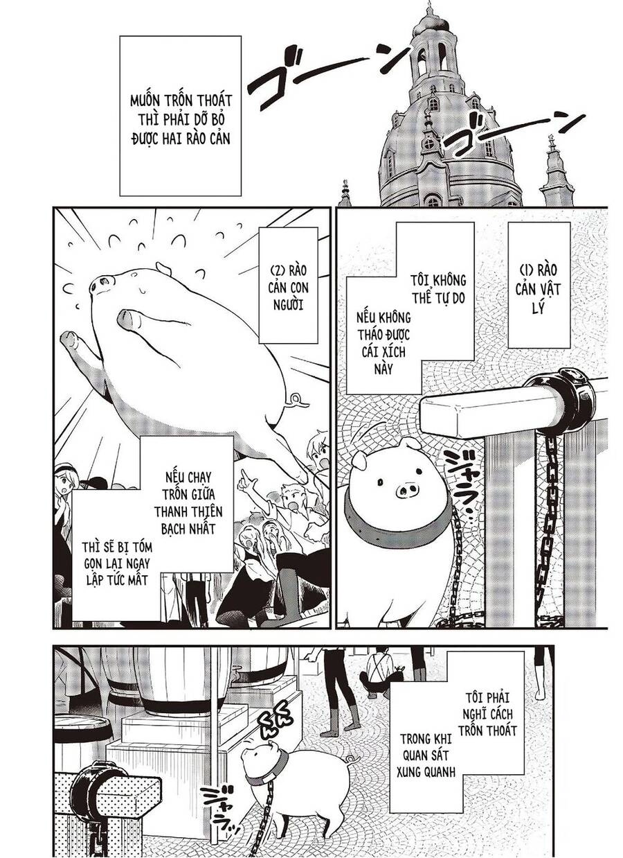 Chuyển Sinh Thành Lợn Ở Thế Giới Khác Chapter 4 - 6