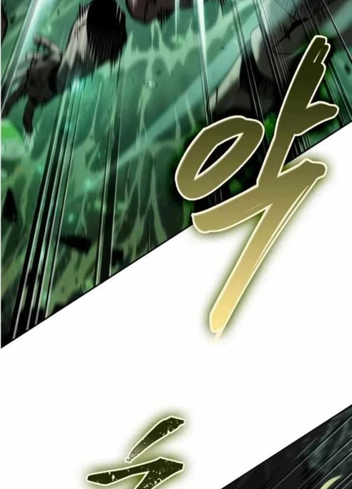 Mạo Hiểm Giả Cuối Cùng Chapter 94 - 9