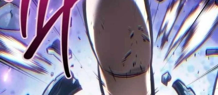 Mạo Hiểm Giả Cuối Cùng Chapter 94 - 68