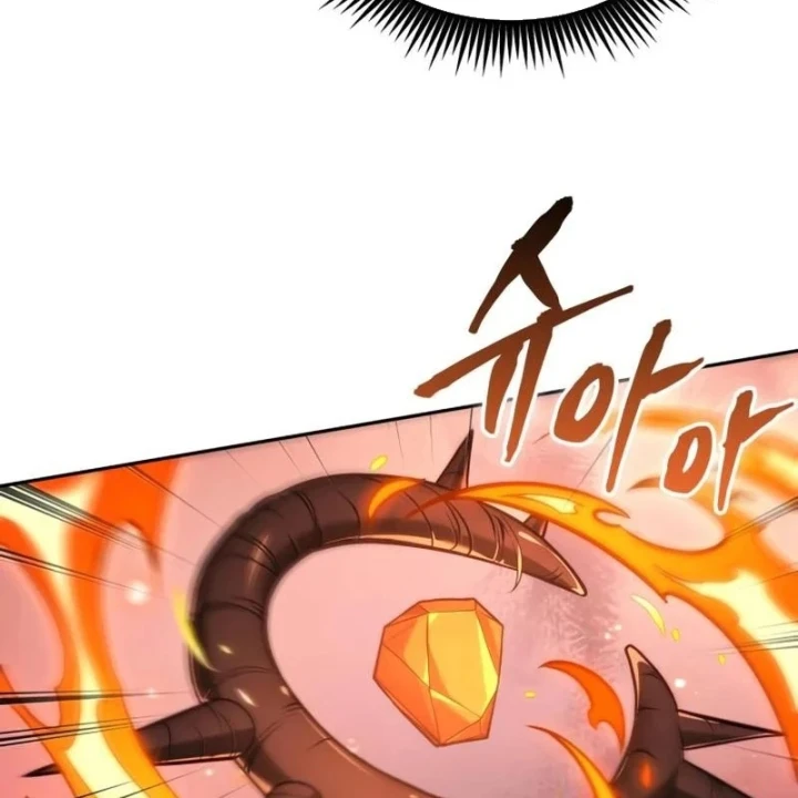 Mạo Hiểm Giả Cuối Cùng Chapter 116 - 174