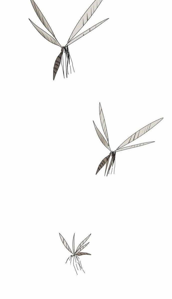 Người Côn Trùng Chapter 1 - 20