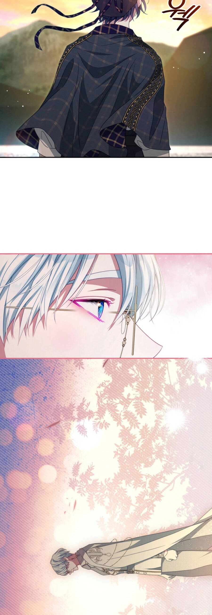 Trở Thành Tình Địch Của Các Nam Chính Chapter 104 - 24