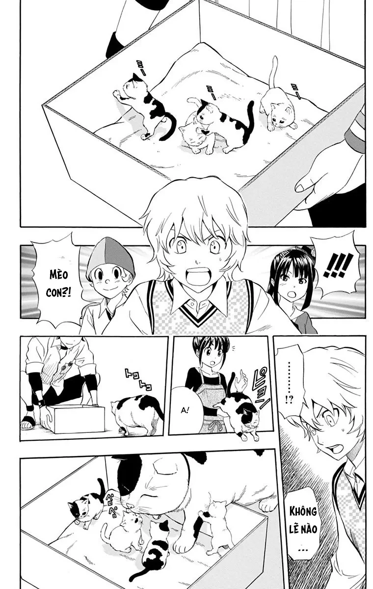 Sket Dance Chapter 215 - 2