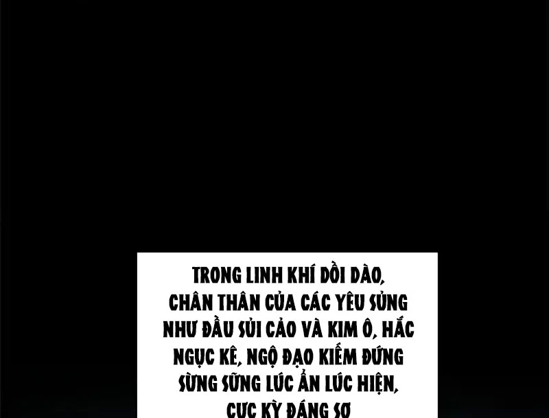 Đỉnh Cấp Khí Vận, Lặng Lẽ Tu Luyện Ngàn Năm Chapter 237 - 55