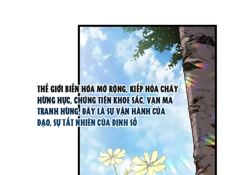 Đỉnh Cấp Khí Vận, Lặng Lẽ Tu Luyện Ngàn Năm Chapter 239 - 113