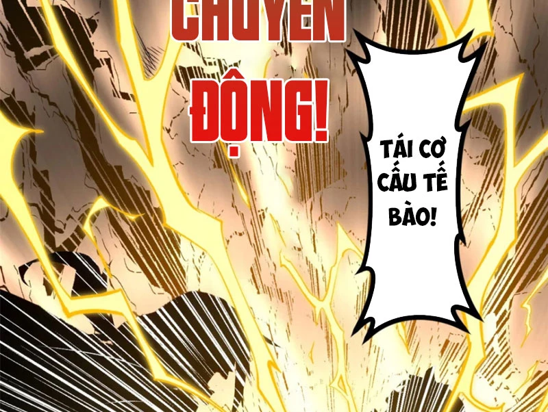 Đỉnh Cấp Khí Vận, Lặng Lẽ Tu Luyện Ngàn Năm Chapter 242 - 99