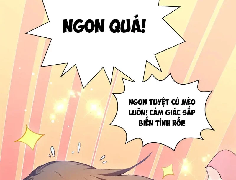 Đỉnh Cấp Khí Vận, Lặng Lẽ Tu Luyện Ngàn Năm Chapter 244 - 23