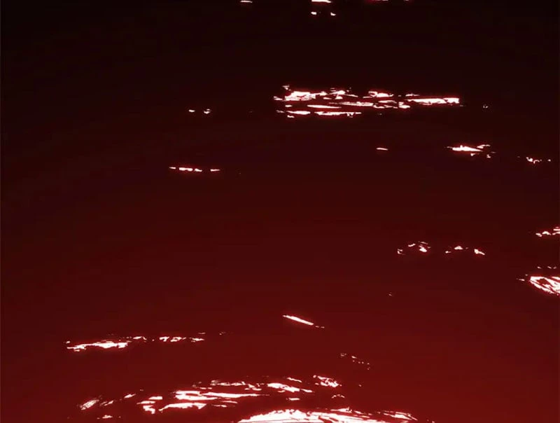 Đỉnh Cấp Khí Vận, Lặng Lẽ Tu Luyện Ngàn Năm Chapter 244 - 81