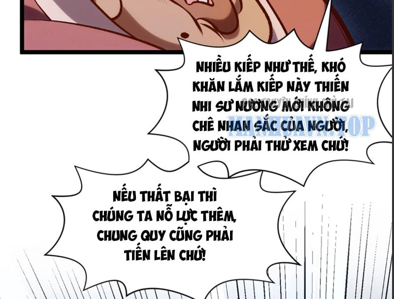 Đỉnh Cấp Khí Vận, Lặng Lẽ Tu Luyện Ngàn Năm Chapter 246 - 33