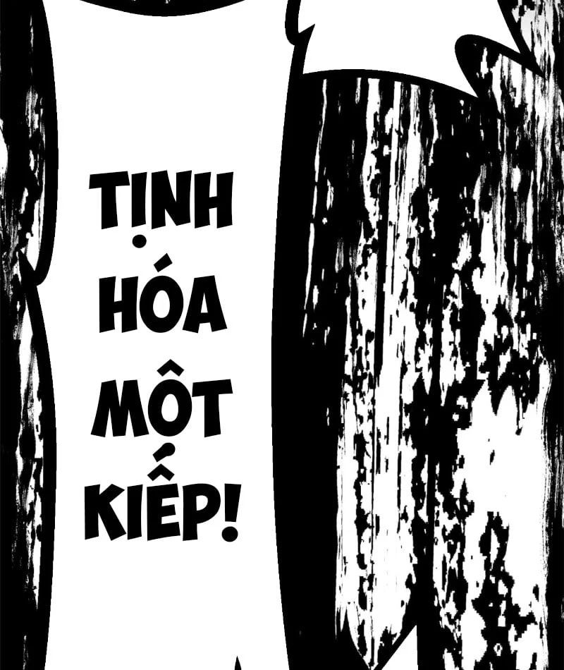 Đỉnh Cấp Khí Vận, Lặng Lẽ Tu Luyện Ngàn Năm Chapter 252 - 79